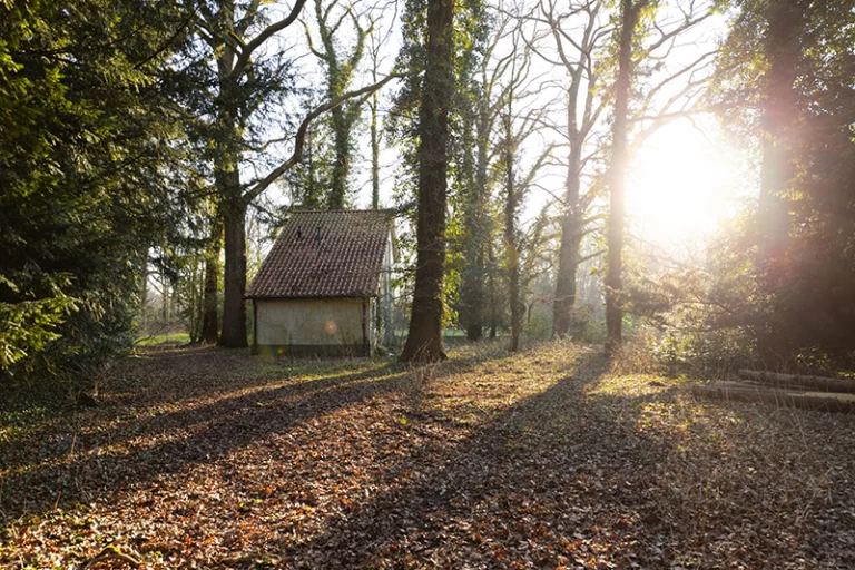 Exclusieve bouwkavel Enschede - sfeerimpressie bos