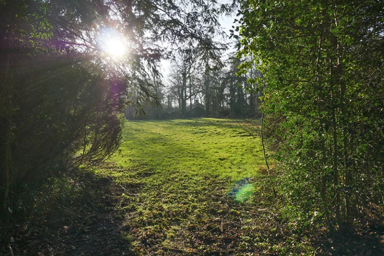 Wonen in Boekelo Bastinglaan 20 - sfeerimpressie bos